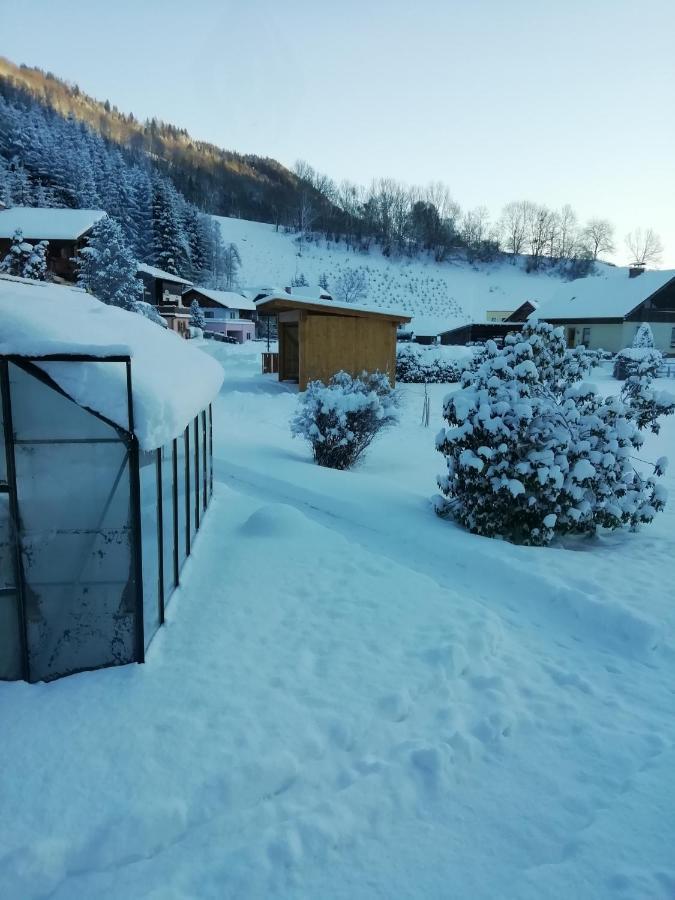 Haus Anneliese * Pruggern